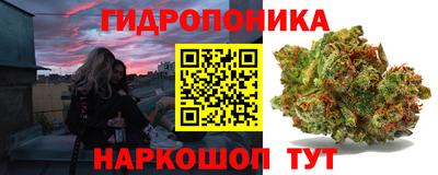 2c-b Новозыбков