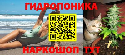 2c-b Новозыбков