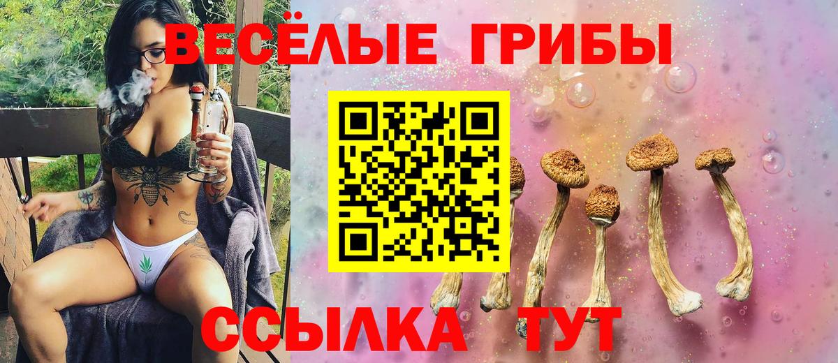 Галлюциногенные грибы Psilocybe  Вход с VPN  Тавда 